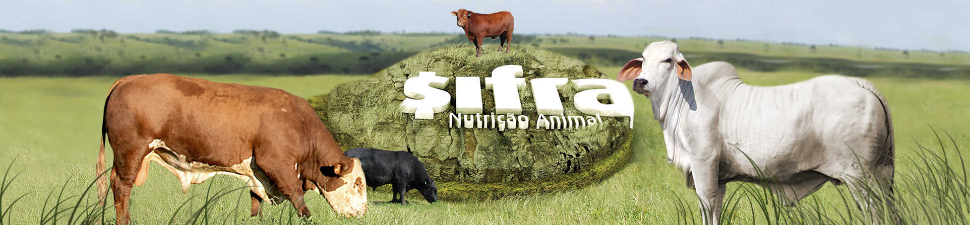 Sifra Nutrição Animal