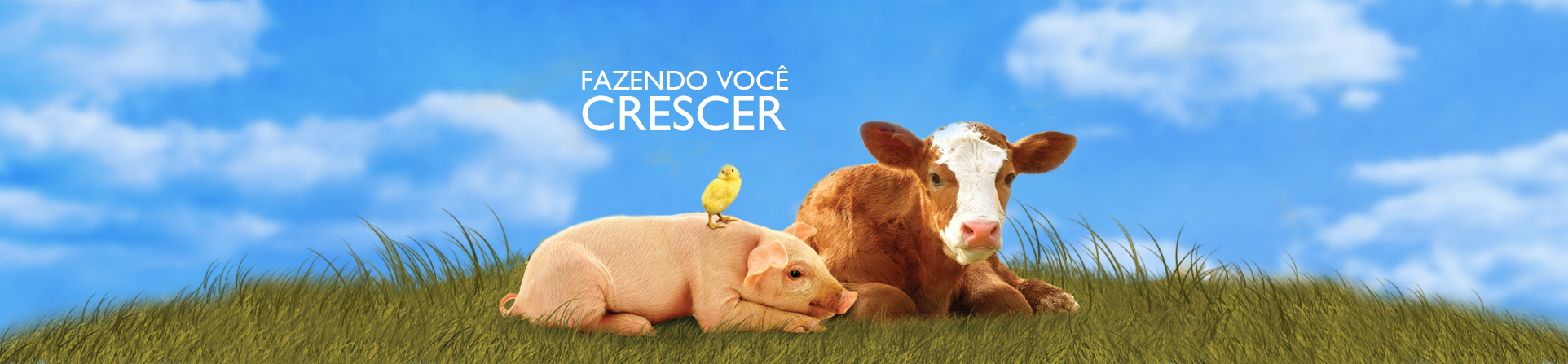 Sifra Nutrição Animal